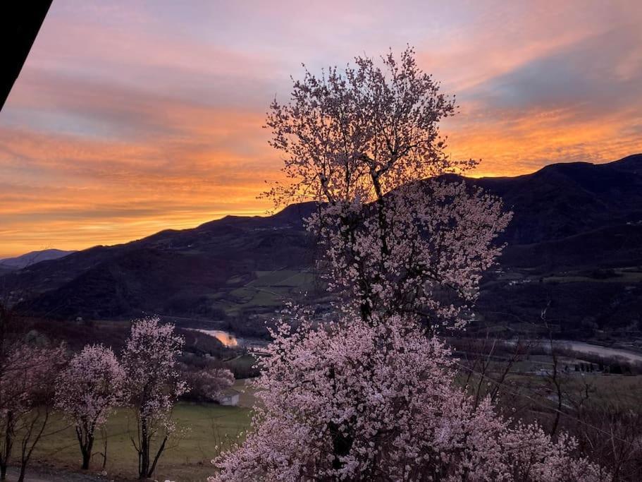 Casa Nella Natura A ボッビオ エクステリア 写真